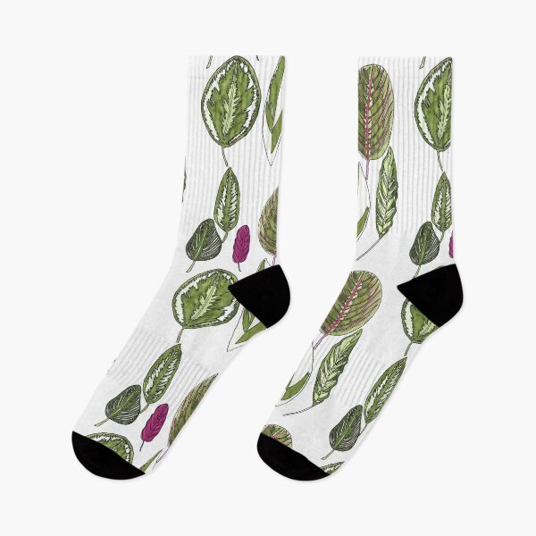 Item preview, Calathea Plant Leaves designed and sold by jenbucheli.