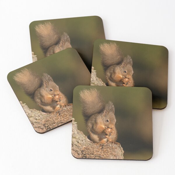 Item preview, Red Squirrel designed and sold by kt-photography.