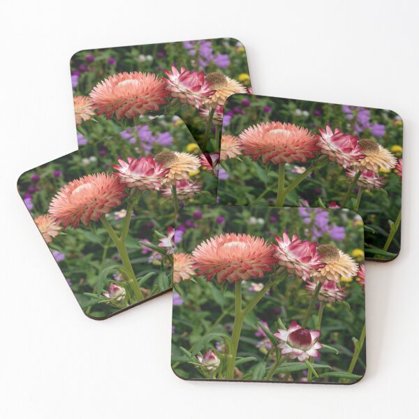 Artikelvorschau, Farbtherapie mit Blumen entworfen und verkauft von NC NatureVisions.