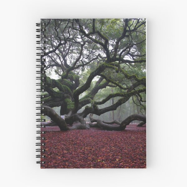 Item preview, Angel Oak Tree in the Fall designed and sold by floofpictures.