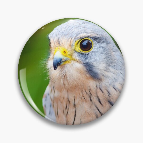 Item preview, Kestrel designed and sold by InterestingImag.