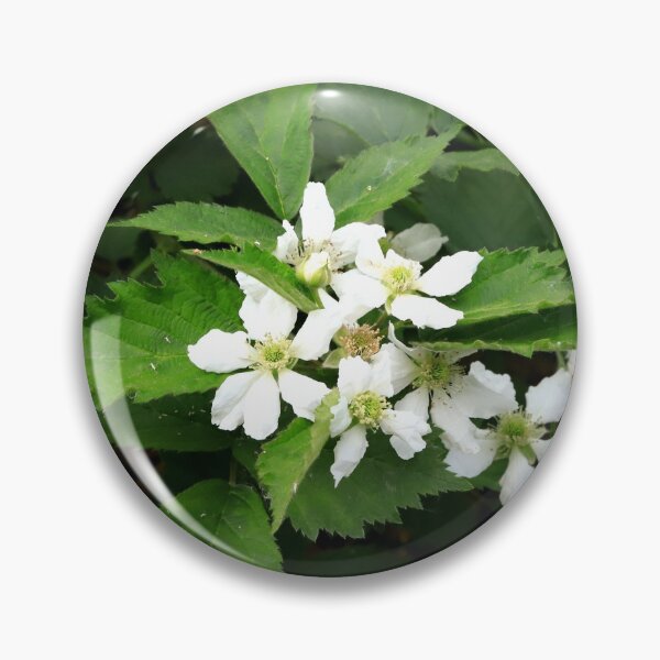 Artikelvorschau, Rubus in voller Blüte entworfen und verkauft von annalisa56.
