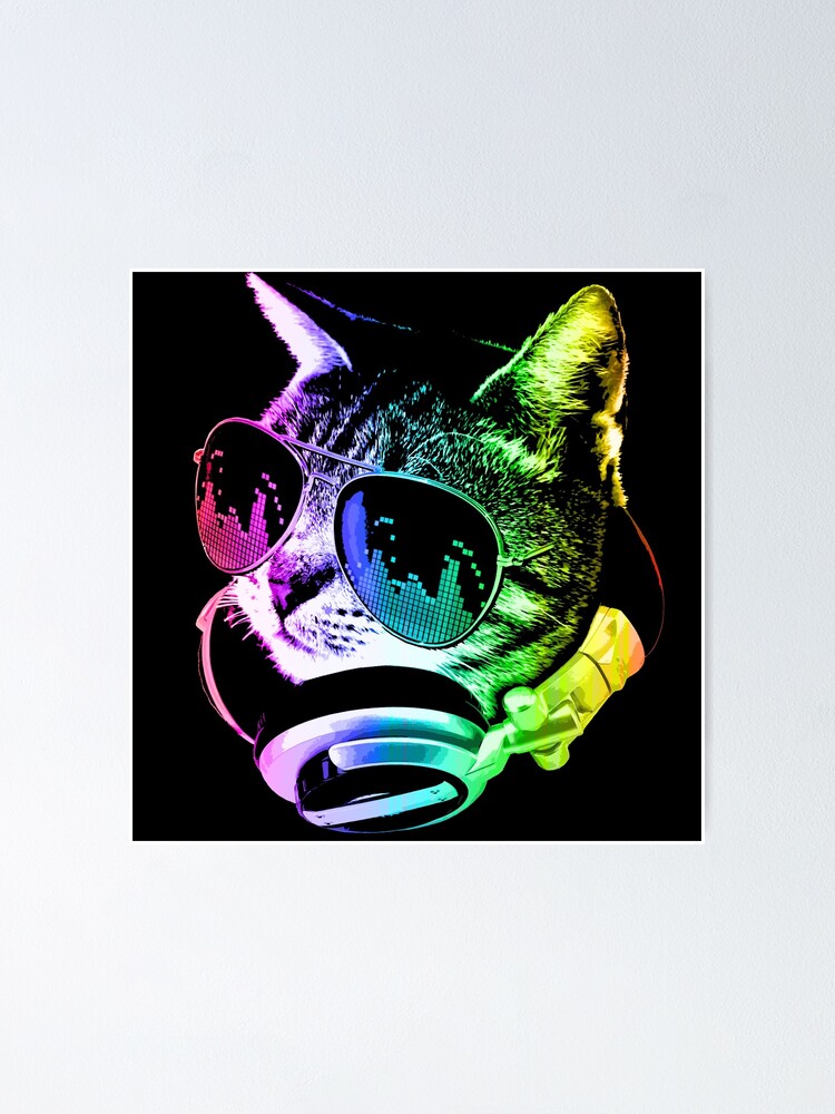  HOUSE CAT (Rainbow DJ Cat Kitty) T-Shirt : Clothing, Shoes &  Jewelry