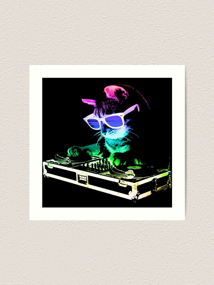 House Cat (Rainbow Dj Kitty) House Cat (Rainbow Dj Kitty)
