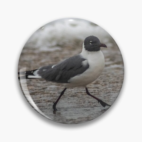 Item preview, Walking the beach designed and sold by KensLensDesigns.