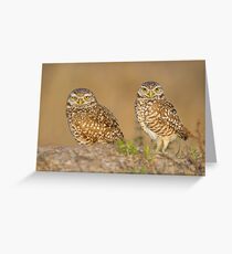 Owl Couple Greeting Card