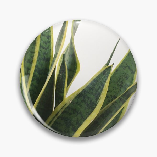 Item preview, Sansevieria designed and sold by Cassia Beck.