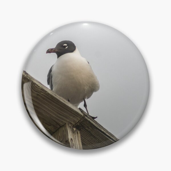 Item preview, Beach penguin designed and sold by KensLensDesigns.