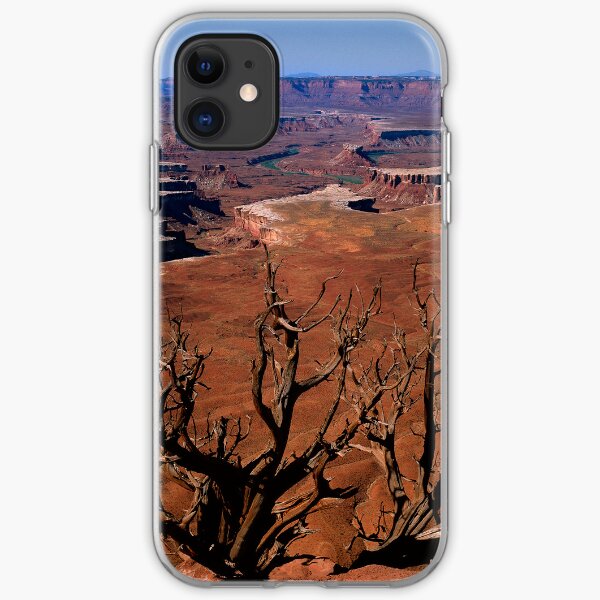 The Green River in Canyonland iPhone Soft Case
