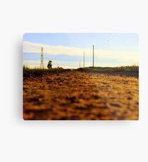 Dirt Road Metal Print
