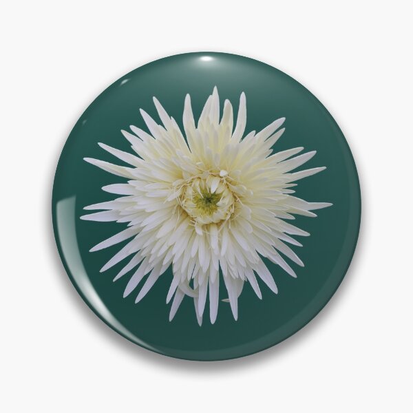 Item preview, White Gerbera on Dark Green designed and sold by STHogan2.