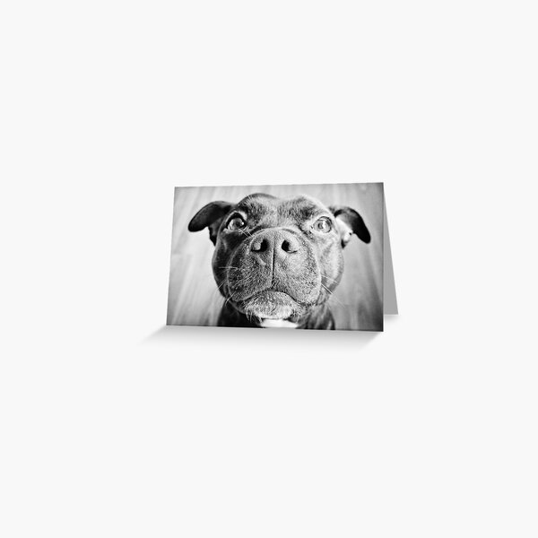 Up Close Greeting Card