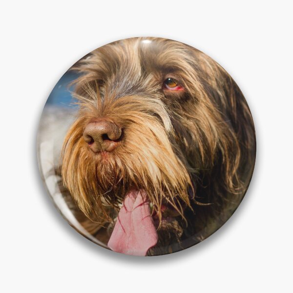 Artikelvorschau, Sommernachmittag Spinone entworfen und verkauft von FOLK ART FUSION.