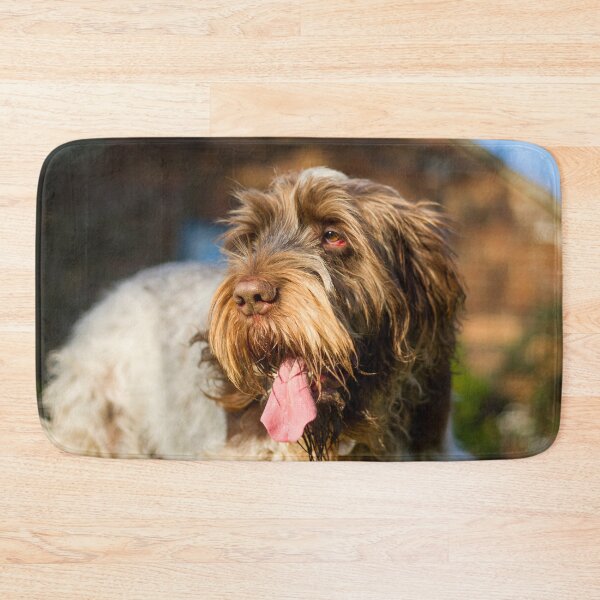 Item preview, Summer afternoon Spinone designed and sold by FOLK ART FUSION by heidiannemorris.