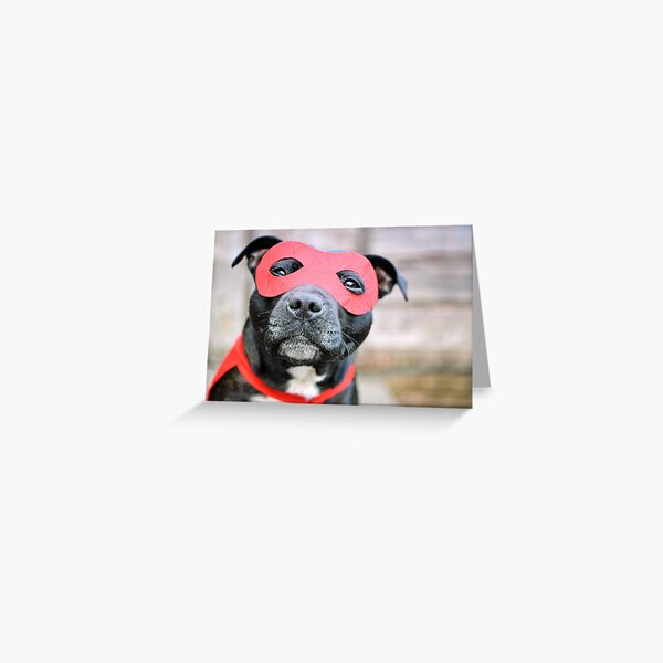Super Hero Staffy Greeting Card