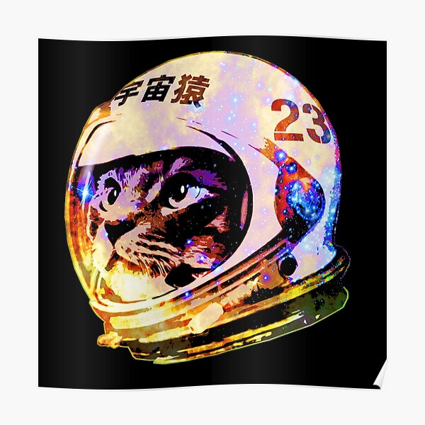 Space Cat Posters Redbubble - mercury space helmet roblox