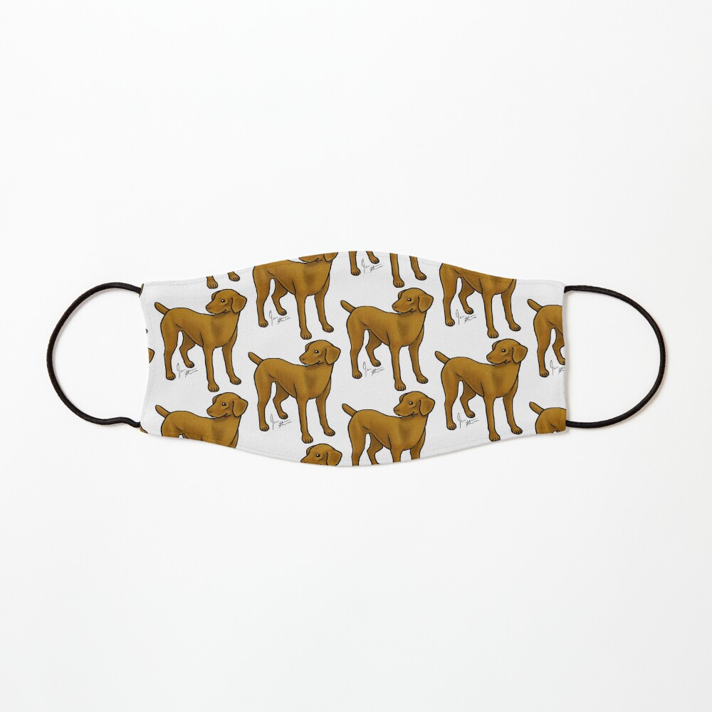 Vizla Mask