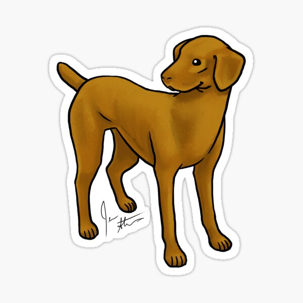 Vizla Sticker