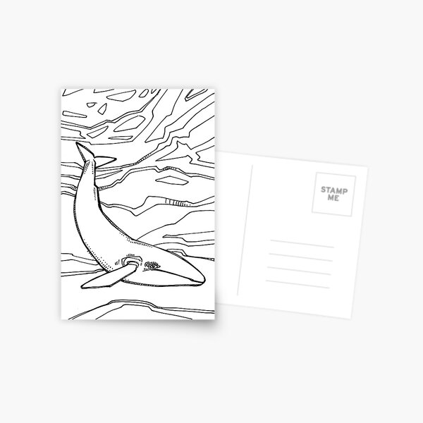 Blue Whale, Coloring Page Postcard