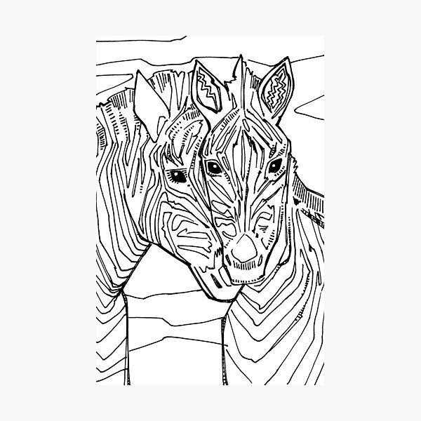 Zebra, Coloring Book Page Photographic Print