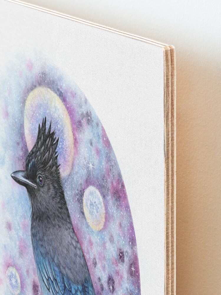 Alternate view of Stellar Jay Mounted Print