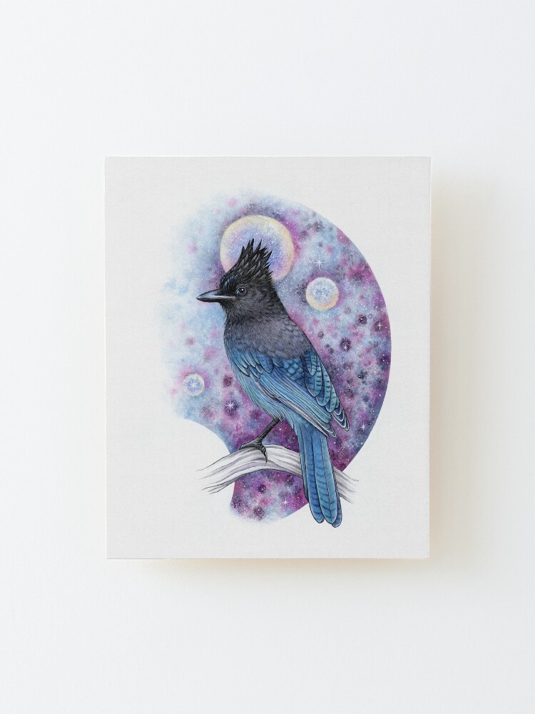 Alternate view of Stellar Jay Mounted Print