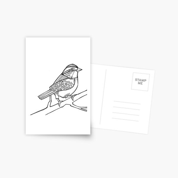 White-throated Sparrow, Coloring Book Page Postcard