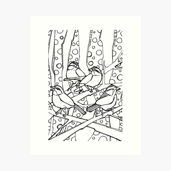 White-throated Sparrows, Coloring Book Page Art Print