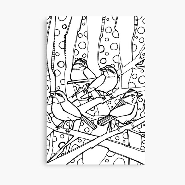 White-throated Sparrows, Coloring Book Page Canvas Print