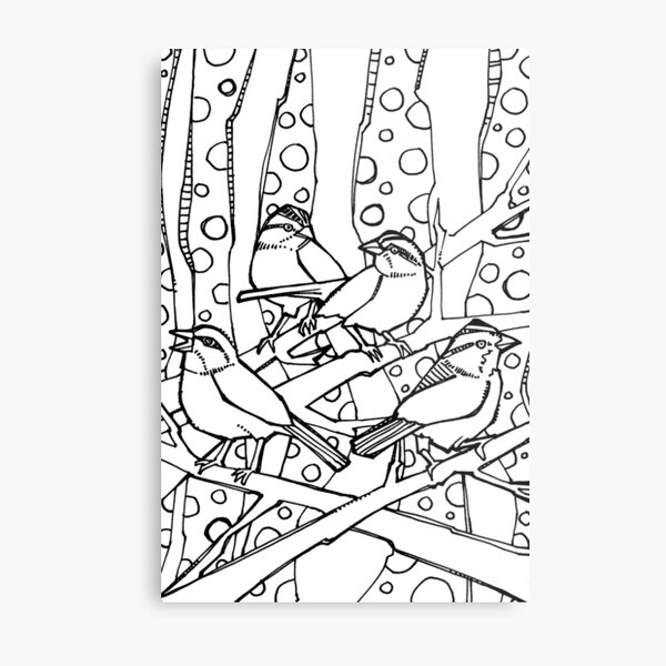 White-throated Sparrows, Coloring Book Page Metal Print