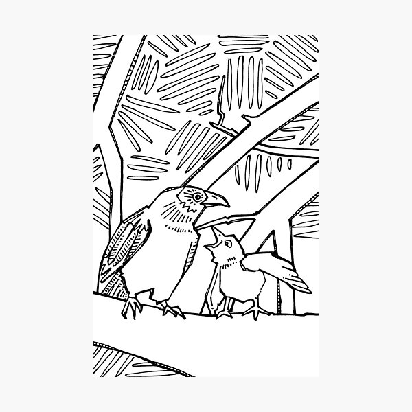 American Crow, Coloring Page Photographic Print