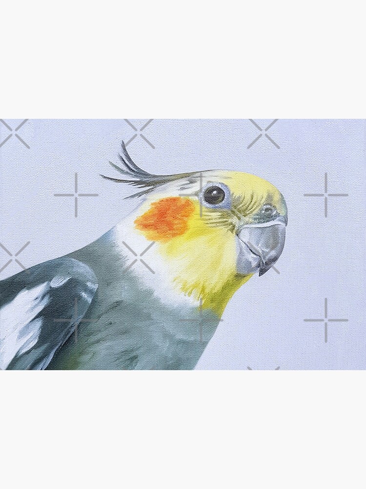 Cockatiel pet portrait by EmilyBickell
