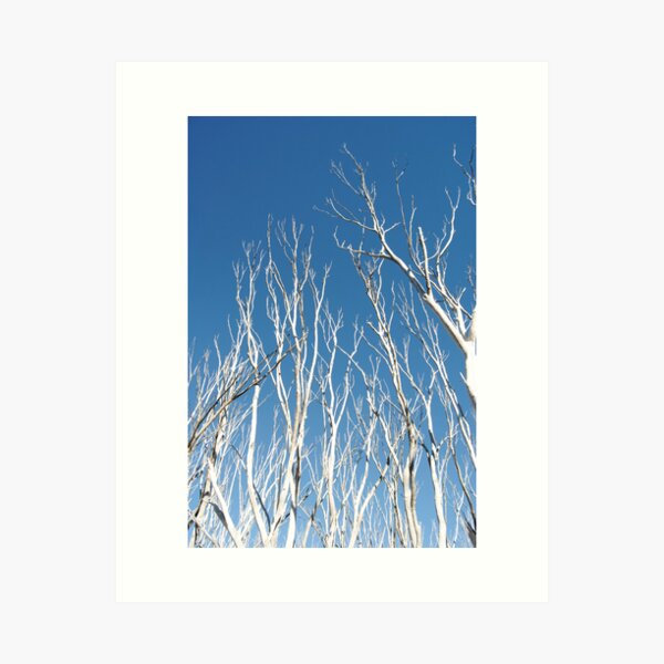 Item preview, Snow Gums Reaching Up To The Blue - Blue Rag Range Track designed and sold by MissyD.