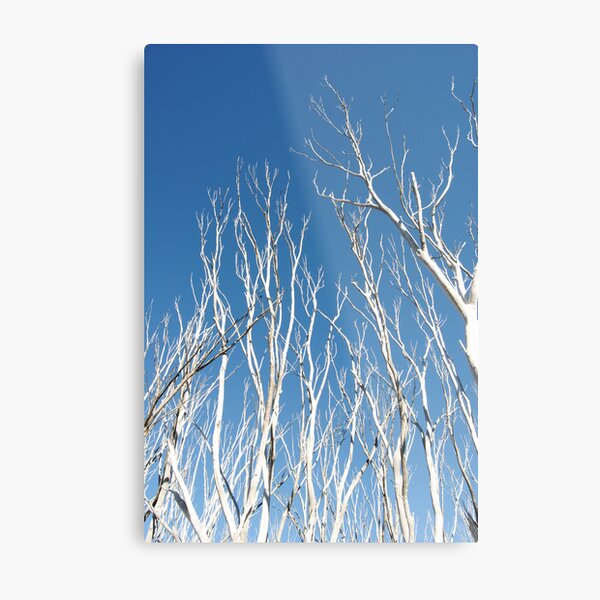 Item preview, Snow Gums Reaching Up To The Blue - Blue Rag Range Track designed and sold by MissyD.