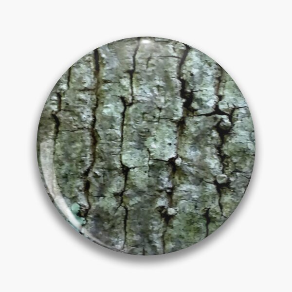 Artikelvorschau, Baumrinde im Wald entworfen und verkauft von Jaroffaith.