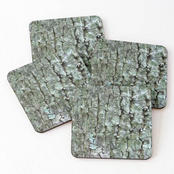 Item preview, Tree Bark in the woods designed and sold by Jaroffaith.