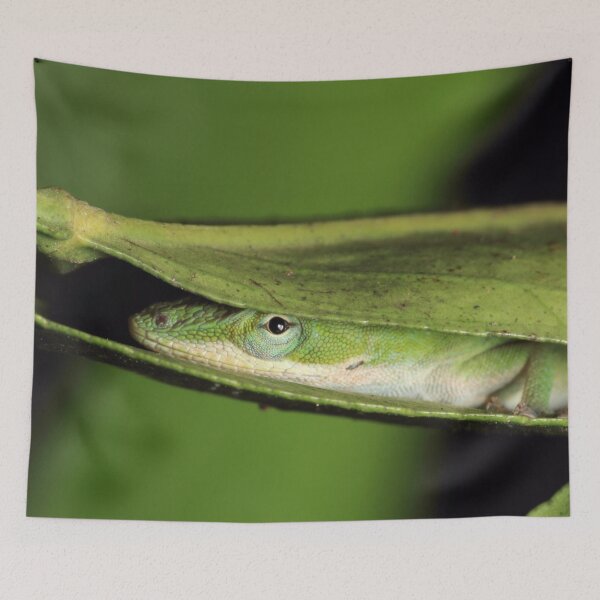 Item preview, Cute And Cool Green Anole Garden Lizard  designed and sold by KateLCardsNMore.