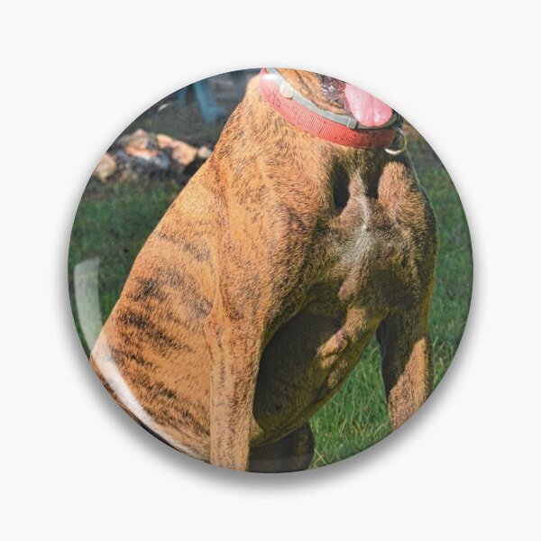 Item preview, My Beautiful Brindle designed and sold by LisaWootenPhoto.