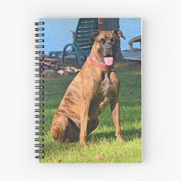 Item preview, My Beautiful Brindle designed and sold by LisaWootenPhoto.
