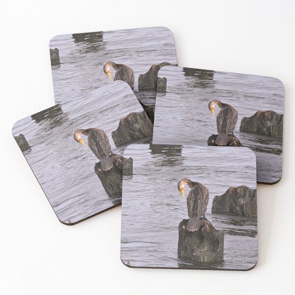 Item preview, A Perched Cormorant designed and sold by LisaWootenPhoto.