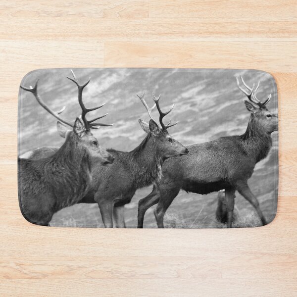 Item preview, Three stags on the Loch designed and sold by Leeanne Mackay.