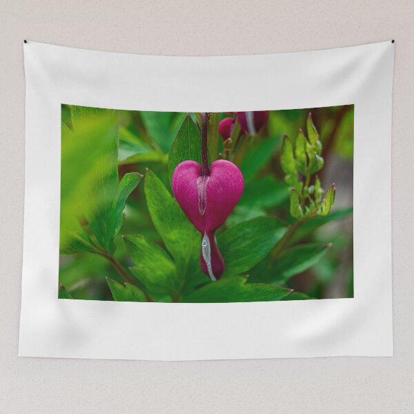 Item preview, bleeding heart  designed and sold by Joshua  Satterlee.