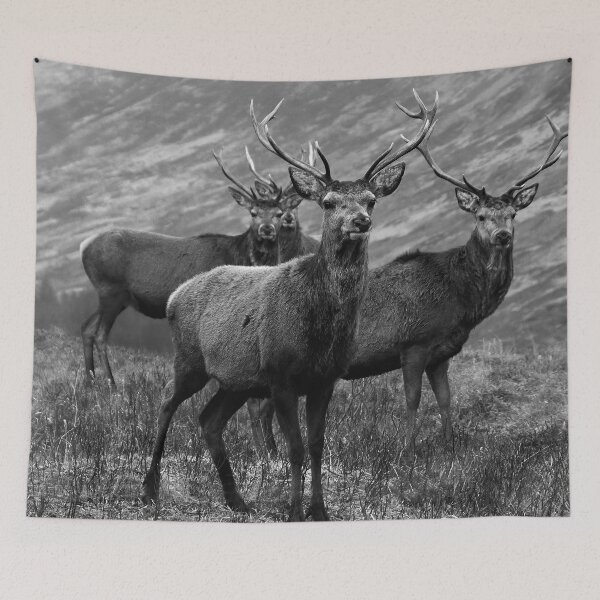 Item preview, The four stags on the Loch - b/w designed and sold by Leeanne Mackay.