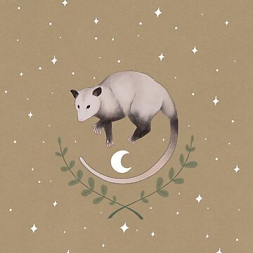 Artwork thumbnail, Possum in the Stars by InkAndSwords