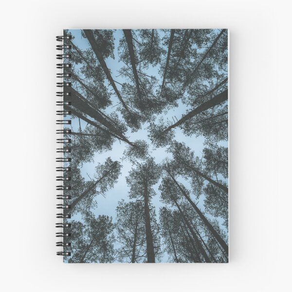 Item preview, Pine trees designed and sold by urbonasphotos.