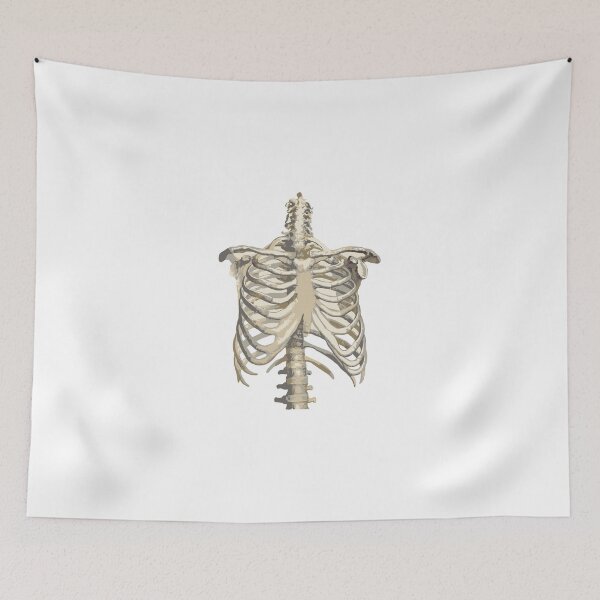 Item preview, Skeleton designed and sold by iammiamia.
