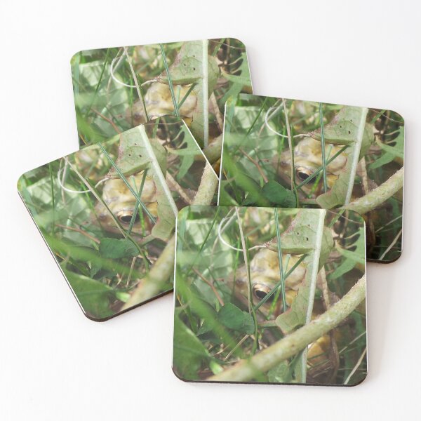 Item preview, Hello Mr Toad designed and sold by PlagueRat.