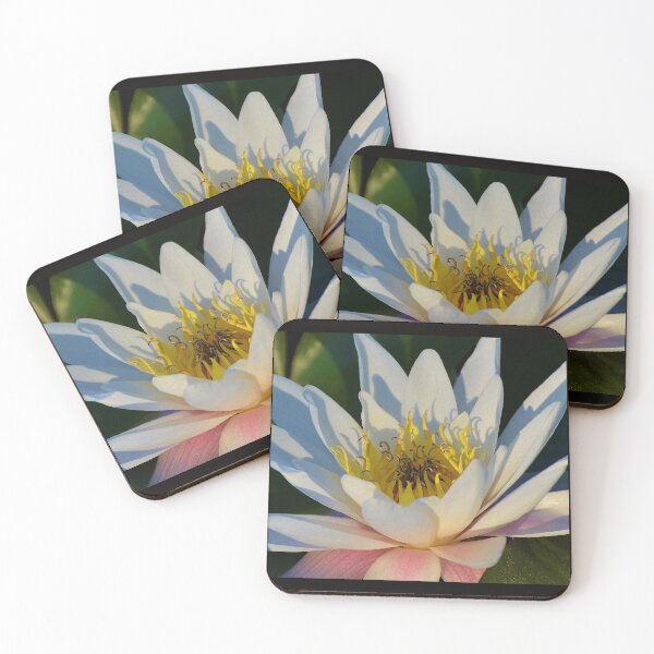 Item preview, Water Lily  designed and sold by floofpictures.