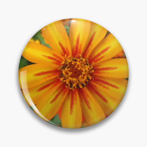 Item preview, beautiful colorful flowers in the garden on a meadow designed and sold by rhnaturestyles.