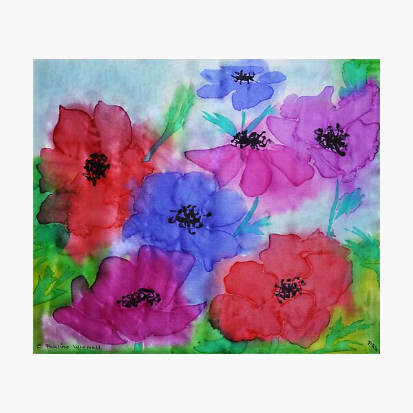 Anemones on silk Photographic Print